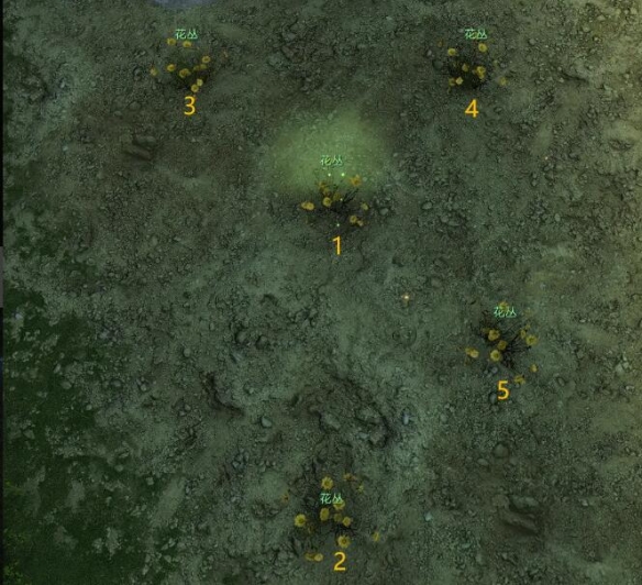 逆水寒长生观二期花舞流萤宝箱位置介绍