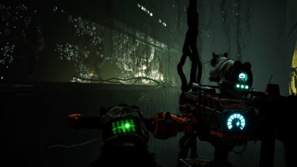 动物使用协议发售时间介绍